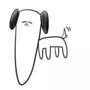 EARL skateboards ベルト punkandyo EC melodi - メルカリ