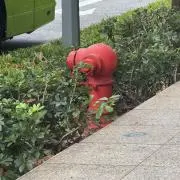 り。の画像