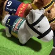 しょーたの画像