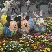 ぴーちゃん【おまとめ割します】の画像