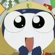 ぽむの画像