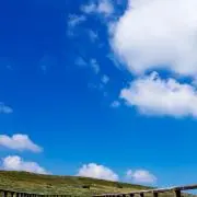 mochiの画像