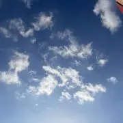 悠佳の画像