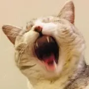 eeeeentの画像