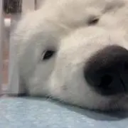森の画像