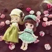 pal pal