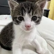 舞心