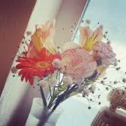 Leady