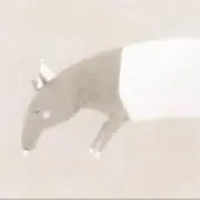 chocoの画像