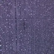 nekoの画像