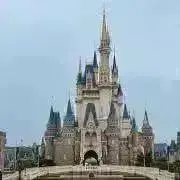 ラッキーの画像