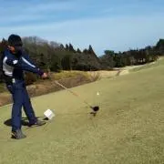 ちゃんしん