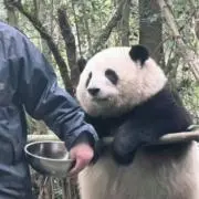 みずはらの画像