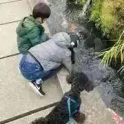 イヤフの画像