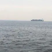 たくみっくの画像