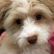 Ken.Tの画像