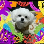 マツジュン⭐︎の画像