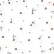 ぽむの画像
