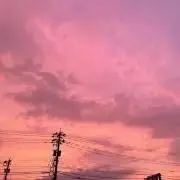 つゆの画像