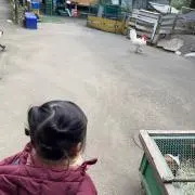 ふーまん