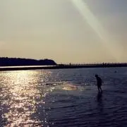 サクラサク