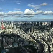 Alphabetの画像