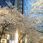 キーボーの画像
