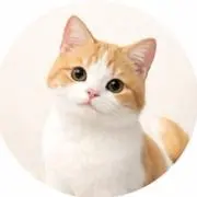 sierra selectの画像