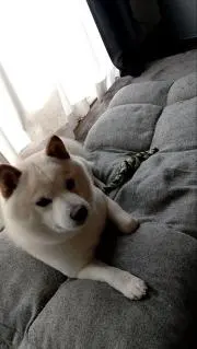 ∵☆