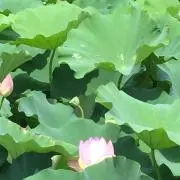 yu☆の画像