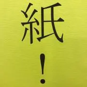 T Y