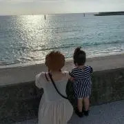 やなの画像