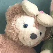 bear7
