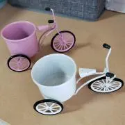 まりも