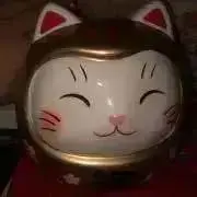百桜プロフ必読