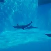まりー☆☆☆の画像