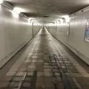 らんち