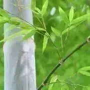 No24 三角屋根の簡単移動棚4段Flower end Garden brown - メルカリ