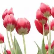 ちぃさん☆他のも見てね♪コメントお気軽にの画像