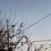 のんの画像