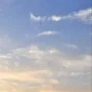 korisuの画像