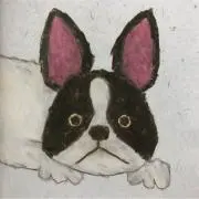 yummmyの画像