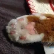 りょうの画像