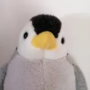 B☆Pの画像
