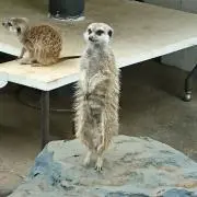 ここの画像