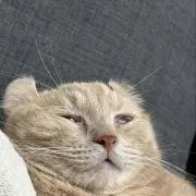 Ryoooの画像