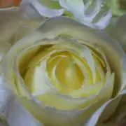 ミッキー★プロフ必読の画像
