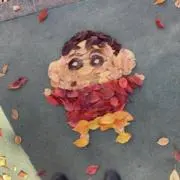 ぼんの画像