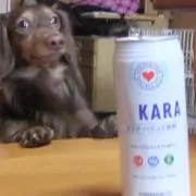 KARA