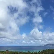 Bachの画像